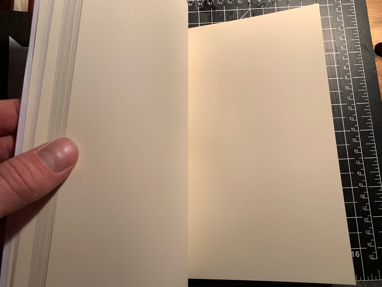 Alchemy/Foraging themed Journal 200 page