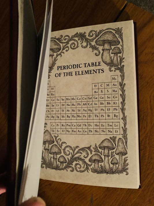 Exalted Gatherer’s /Alchemist’s Journal - Now on display at the Ferry County Food Co-op in Republic, WA!